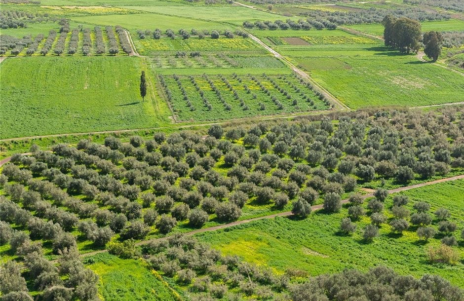 Χάνεται η επιδότηση στα Βιολογικά
